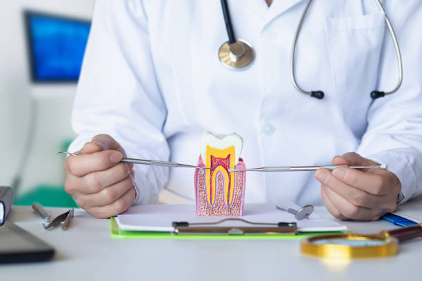 Best Emergency Dental Care for Trauma or Injury in Refugio, TX